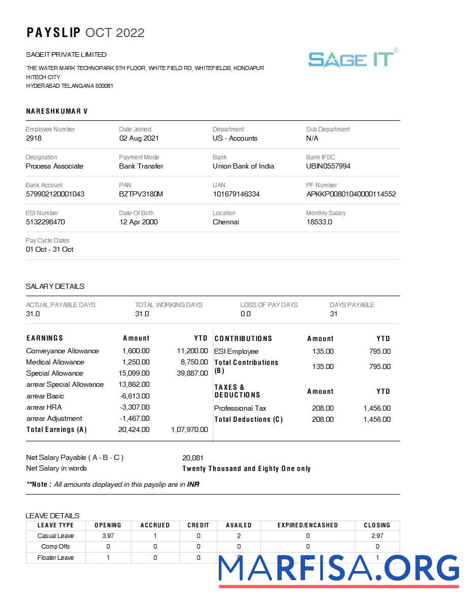 Realistic SageIT payslip example